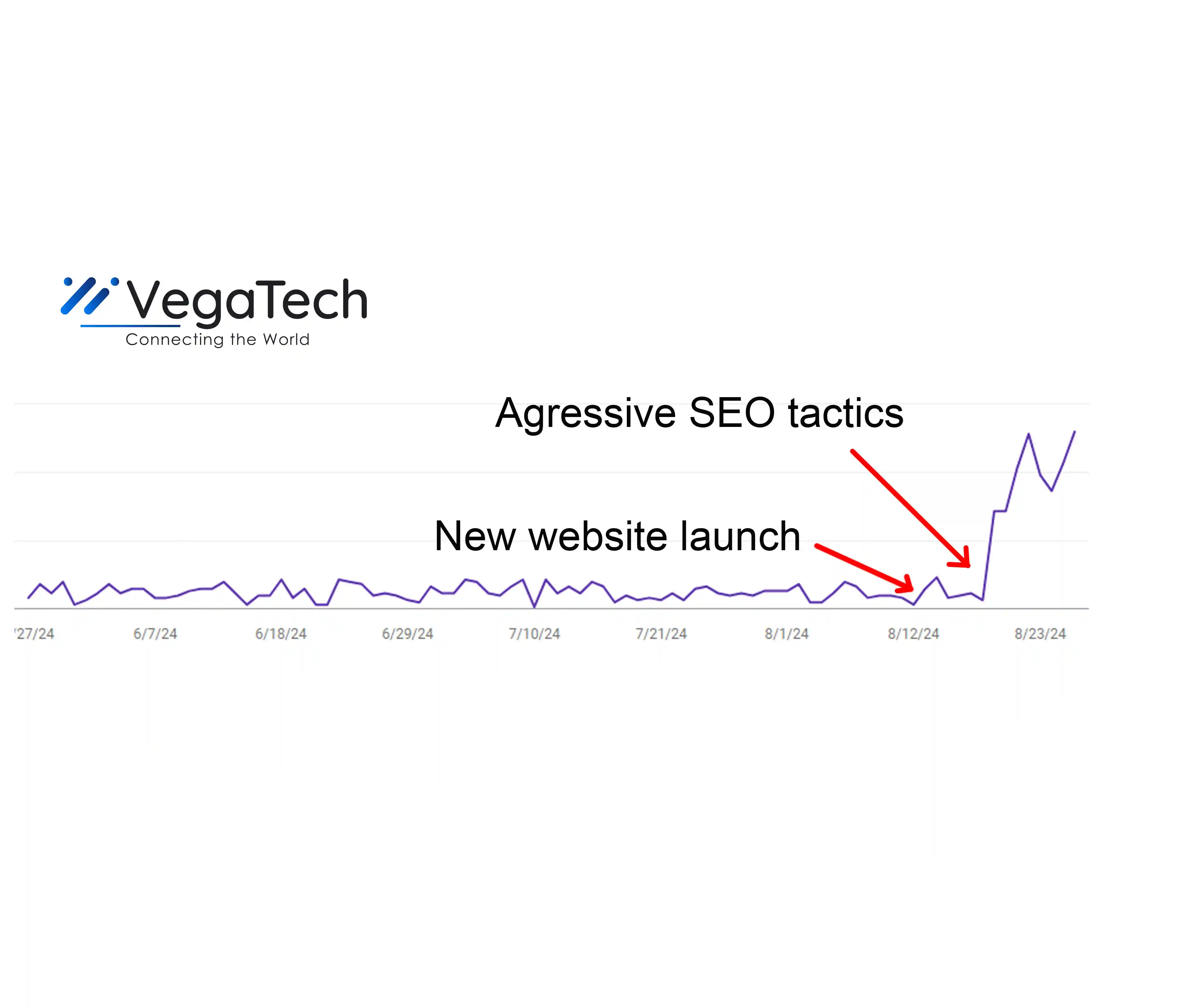 SEO RANKINGS